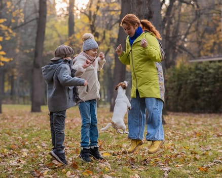Caucasian children and red-haired woman play with dog jack russell terrier in autumn park