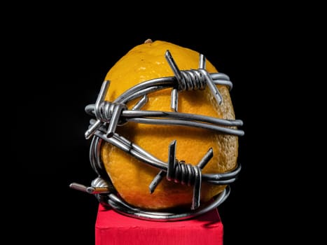 Creative still life with lemon tied with barbed wire on a black background