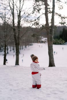 Little girl stands half-turned in a winter park on a hill. Back view. High quality photo