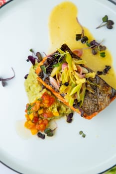 red fish with vegetable sauce and puree on a round plate