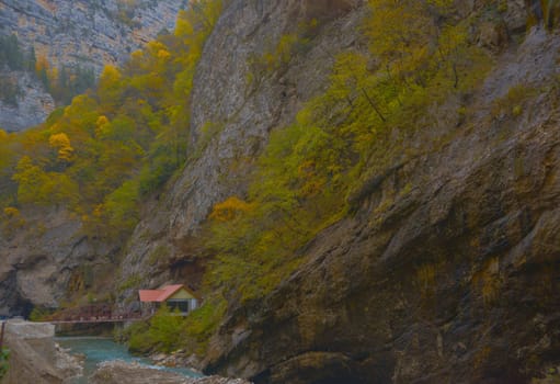 Scenic view of trees and river in the mountains in autumn.