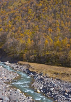 Scenic view of trees and river in the mountains in autumn.