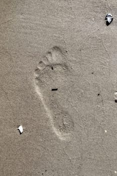 Beautiful detailed footprints in the sand of a beach during summer. Copy space background.