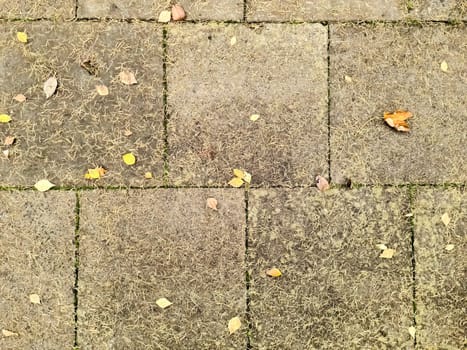 View at vibrant color floor tiles on the ground