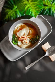 Asian wonton soup with dumplings and pak choi cabbage. High quality photo