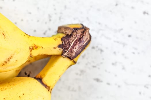 Closeup of end of bananas bunch stems on white board, space for text right