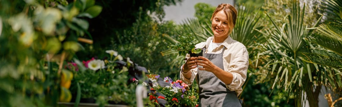 Female florist taking care of houseplant in flower shop. Plant care concept. High quality photo