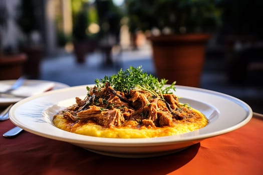 Cassoeula, traditional Lombardy dish with a stew made with pork meat and cabbage, often served with polenta. Italian seasonal comfort dish.