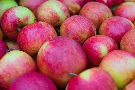 Close-up of red ripe apples. red ripe apples as background.