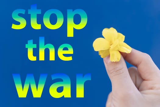 Russian-Ukrainian conflict. children's hand, holding a yellow flower. stop the war inscription High quality photo