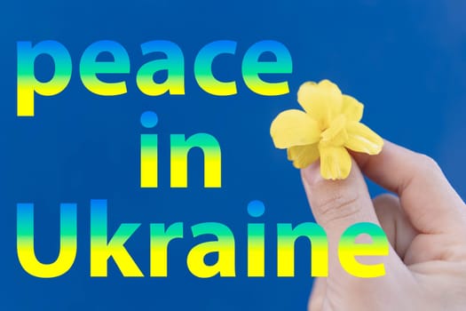 Russian-Ukrainian conflict. children's hand, holding a yellow flower on a blue background, the flag of Ukraine.The inscription peace in Ukraine National Security Society, prevention of war in Ukraine.