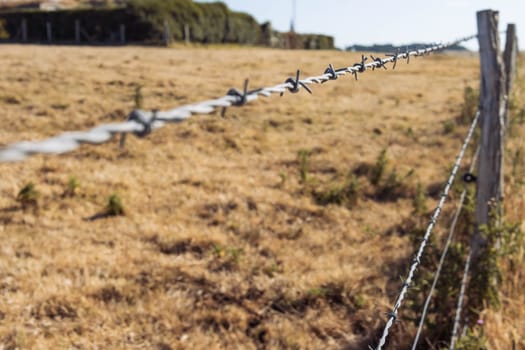 barbed wire against the dry grass, a beautiful landscape has a place for an inscription. High quality photo private territory