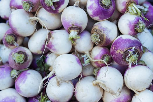 a bunch of white beets in a supermarket background place for an inscription. High quality photo