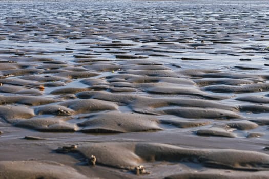 wet sand on the beach close-up.pattern in sand after low tide High quality photo