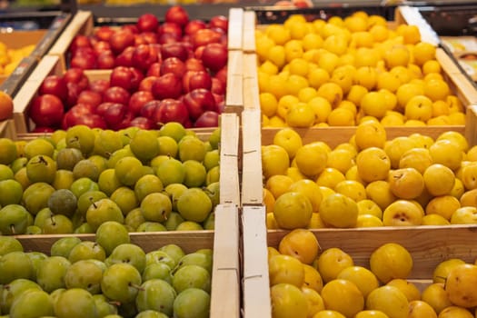 close-up fresh fruit in a store in wooden boxes. Fresh plums yellow, red and green on the counter in a store in wooden boxes. High quality photo