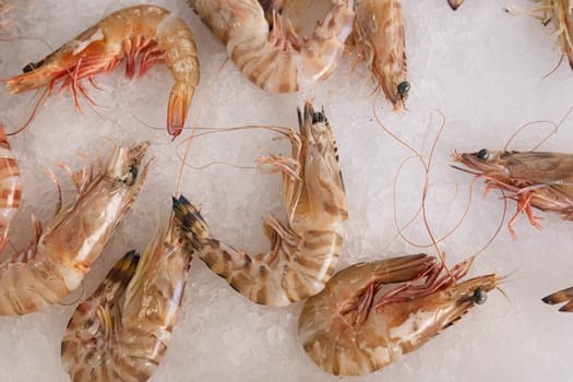 large fresh shrimp in the store window lie on ice.only caught close-up. High quality photo