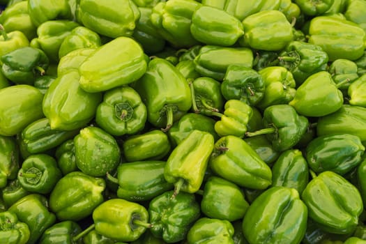 a lot of green peppers in the market on the counter, the background is a lot of fresh green peppers, there is a place for an inscription. High quality photo