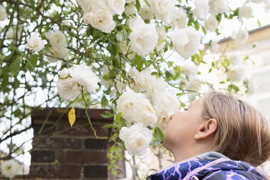 A teenager of European appearance with blond hair stands sniffing white flowers on a tree.Flowers in focus. High quality photo