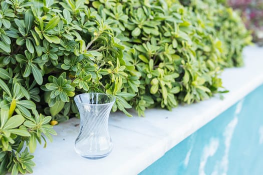 an empty glass cup for tea stands in the garden next to green grass bushes. High quality photo