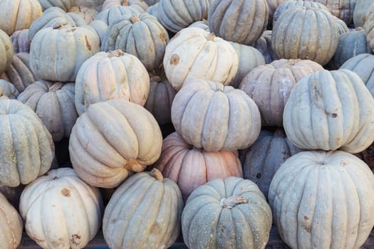 A lot of pumpkins at an open farmer's market.close-up there is a place for an inscription. High quality photo