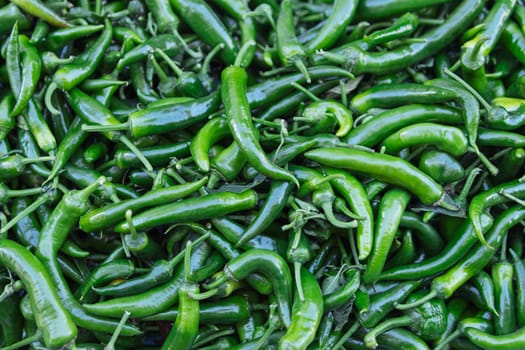 big harvest of green chili peppers.Close-up background. High quality photo