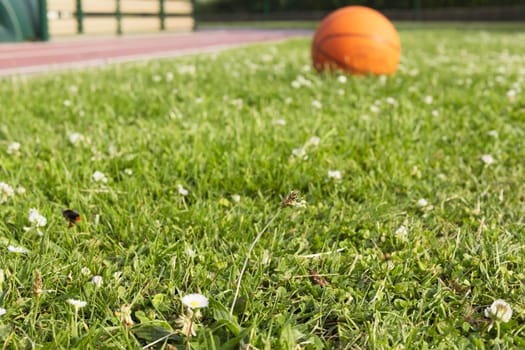 a field of green grass in the background an orange basketball there is a place for an inscription. High quality photo