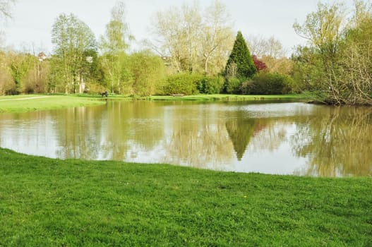 a large lake with fish in the park a beautiful landscape and a lot of green grass around in the background green trees. High quality photo