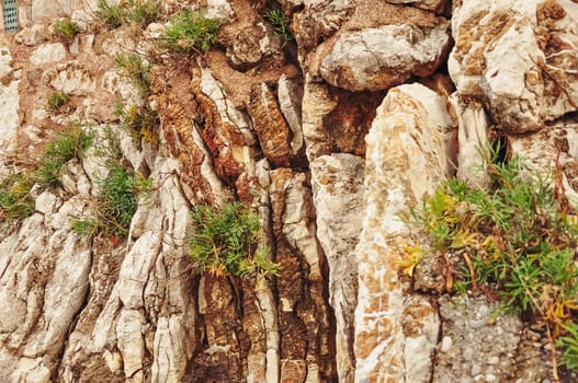 a stone wall with a yellow stone on a mountain grows green grass, a landscape with a place for an inscription. High quality photo