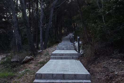 steps up the mountain in the park around the green trees. High quality photo