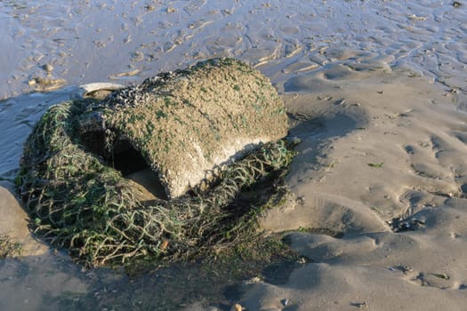 Sewer pipes at shore, flowering water overgrown with decaying algae on water surface, nature pollution and climate change, dirty sea concept. High quality photo