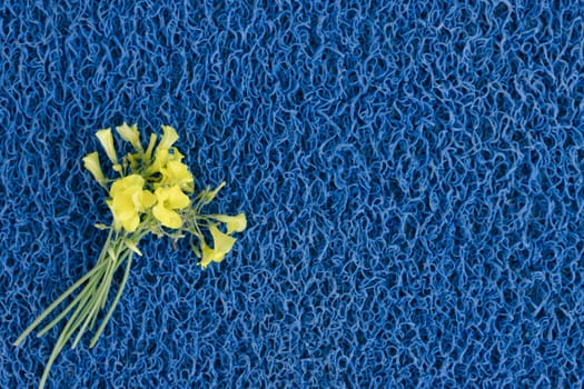 yellow flowers on a blue background, the flag of Ukraine.writing space on the right side High quality photo