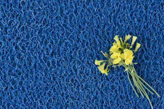 yellow flowers on a blue background, the flag of Ukraine.writing space on the left side High quality photo