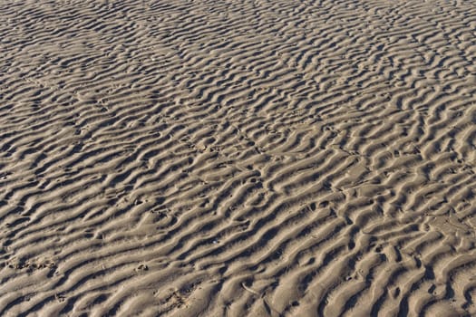 the background of the sand is ribbed and wet after the tide of water on the empty beach. There is a place for the inscription Beautiful landscape and splash. High quality photo