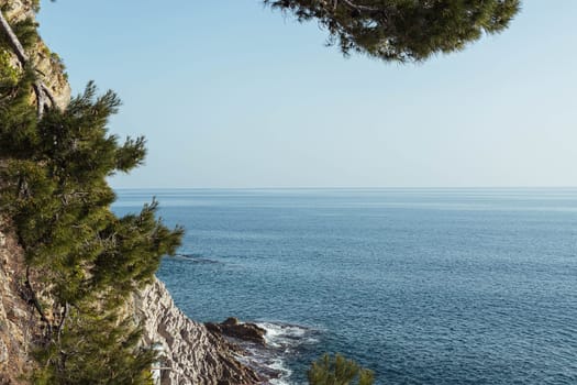 view from the mountain to the sea, around the green pines on the mountain. Beautiful landscape near the sea. High quality photo