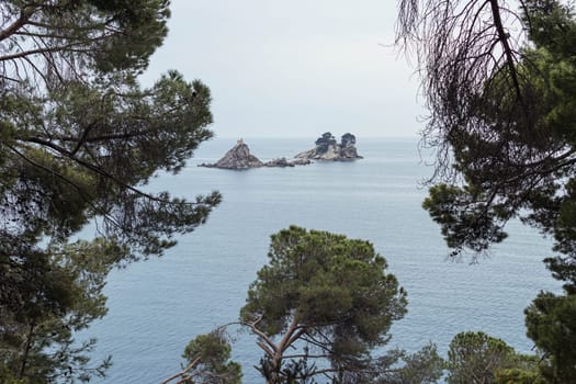 an island on the Adriatic Sea, in the Montenegrin municipality of Budva. It is located opposite the city of Petrovac na Moru in Montenegro. It has a small church. High quality photo