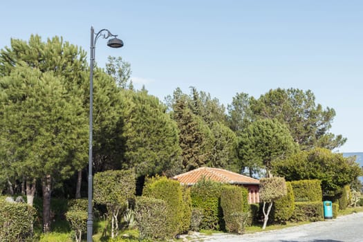 green trimmed bushes and trees in the park on the street, an old black lantern on the road, there is a place for inscriptions beautiful landscape. High quality photo