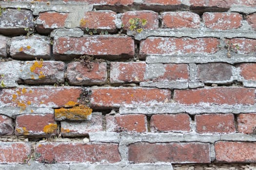 background with bricks, there is a place for inscriptions. High quality photo