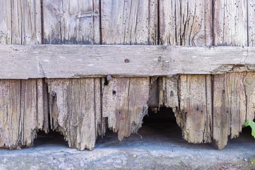 the old wooden fence is all rotten. The bottom of the fence is a close-up. High quality photo