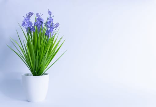 Artificial flower with purple flowers in a white pot on a white background. space for inscription. High quality photo