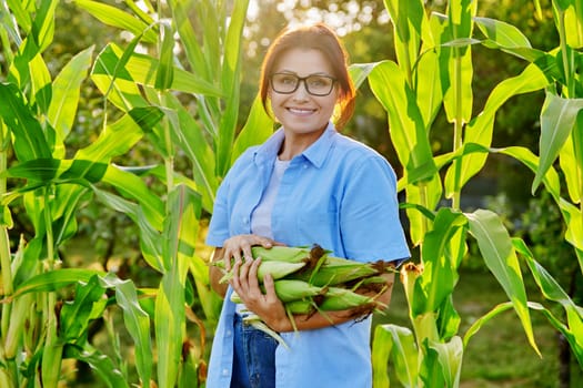 Woman with ripe corn cobs in her hands, looking at the camera, on a farm. Growing natural organic vegetables, gardening, agriculture, summer autumn season concept