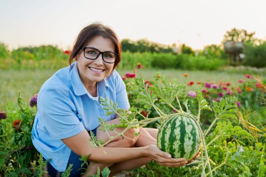 Woman gardener with watermelon berry in her hands, on watermelon garden. Happy female rejoicing in harvest, natural organic food, gardening, agriculture, summer autumn season, hobby, farming concept