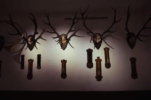 scarecrow with horns on the wall hanging in a row close-up. High quality photo