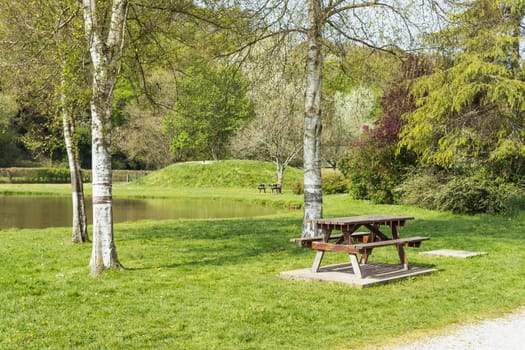 a beautiful park all in green grass and with picnic tables and rest, in the background a lake and green trees. Beautiful landscape. High quality photo