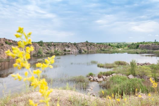 Photo of nature in the park, a beautiful lake with blue water.In the background are mountains with green grass.Close-up of a tree with yellow leaves and green grass around