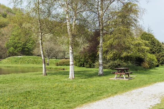 a beautiful park all in green grass and with picnic tables and rest, in the background a lake and green trees. Beautiful landscape. High quality photo