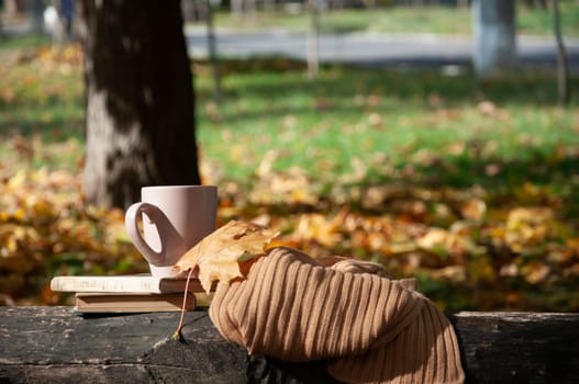 autumn layout for photos, on the bench there is a cup, books and a brown scarf. there are yellow leaves around, there is a place for an inscription. A beautiful autumn landscape. High quality photo