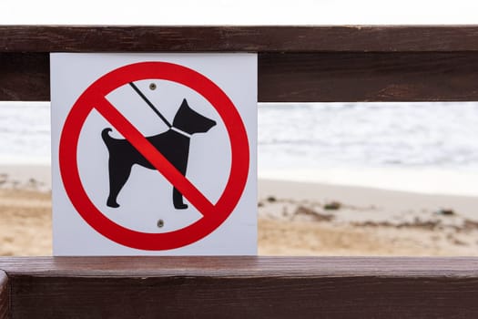 sign on the sea with dogs no entry isolated on the background of the beach. High quality photo