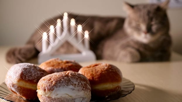 Scottish Straight eared Cat celebrates the Jewish holiday of Hanukkah at home with sweet donuts. Hand Lighting Candle