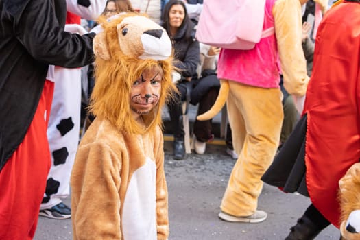 Carnival in Spain, the city of Torrevieja, February 12, 2023, people walk at the carnival. High quality photo