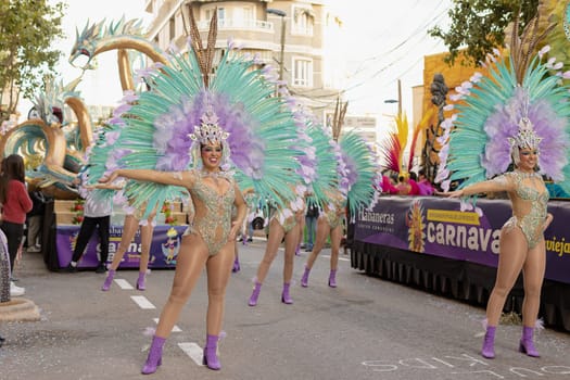 Carnival in Spain, the city of Torrevieja, February 12, 2023, people walk at the carnival. High quality photo